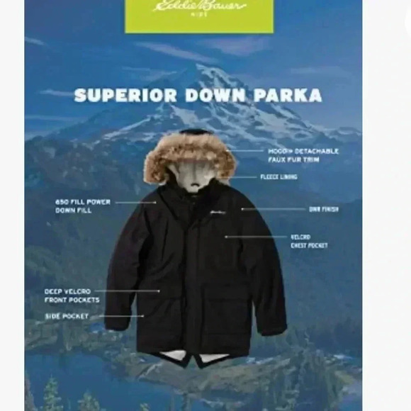 Eddie Bauer waterproof winter coat - Picture 2 of 10
